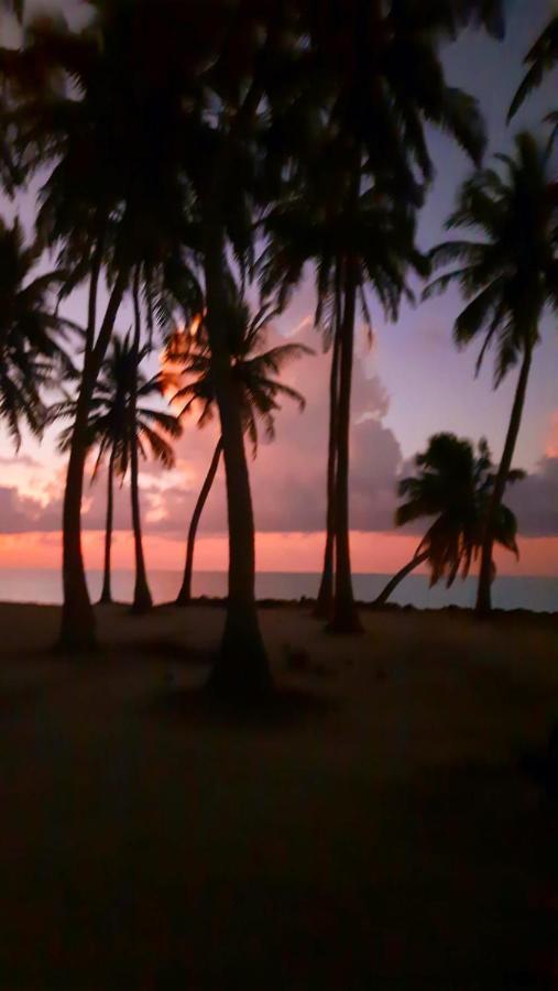 Mystic Maldives Mathiveri Retreat Dış mekan fotoğraf